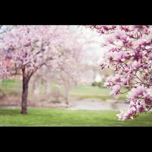 Meet your Posher, Martha